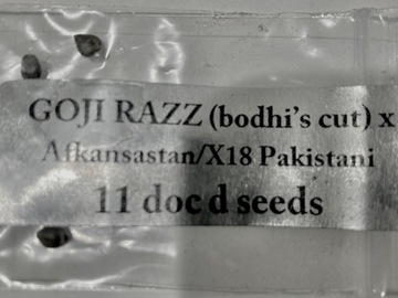 Vente: Doc d - Goji Razz (bodhi's cut) x Afkansastan/X18 Pakistani