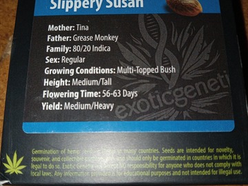 Vente: Exotic Genetix - Slippery Susan