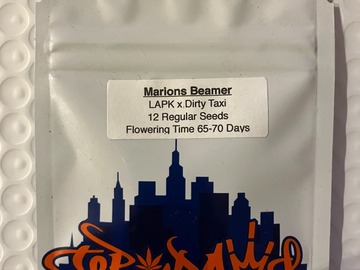 Vente: Marion's Beamer from Top Dawg