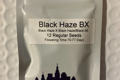 Sell: Black Haze BX from Top Dawg