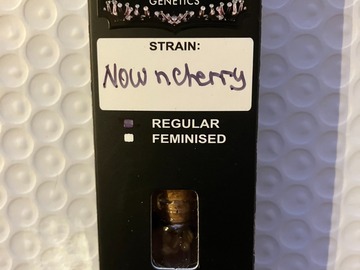 Sell: Now N Cherry from Relentless (NEW)