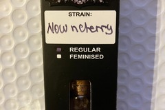 Sell: Now N Cherry from Relentless (NEW)