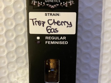Sell: Trop Cherry Gas from Relentless (NEW)