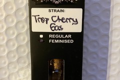 Vente: Trop Cherry Gas from Relentless (NEW)