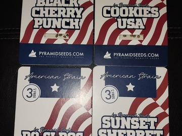 Sell: 4 Pack Mixed Strains by Pyramid Seeds