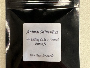 Vente: Animal Mints Bx1 - Seed Junky