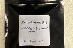 Sell: Animal Mints Bx1 - Seed Junky