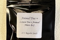 Sell: Animal Tree - Seed Junky Genetics