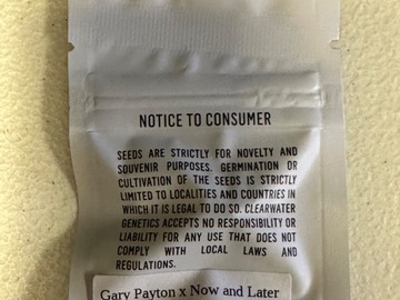 Vente: Gary Payton x Now & Laterz - Clearwater Genetics