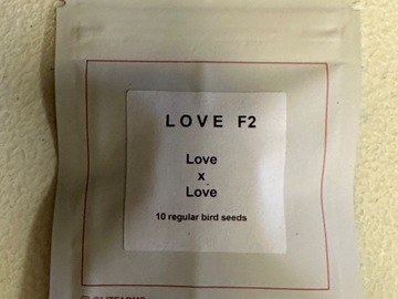 Vente: LOVE F2 - Lit Farms