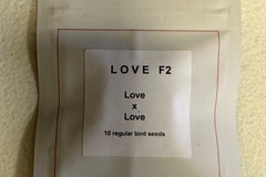 Vente: LOVE F2 - Lit Farms