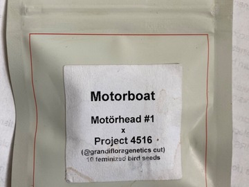 Vente: LIT - motorboat (Motörhead 1 x project 4516)