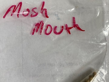 Sell: Lost River Seeds- Mush Mouth