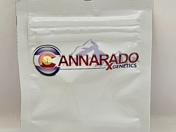 Venta: Cannarado Genetics LA Sherb Feminized Seeds