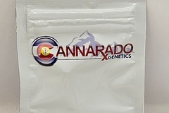 Vente: Cannarado Genetics LA Sherb Feminized Seeds