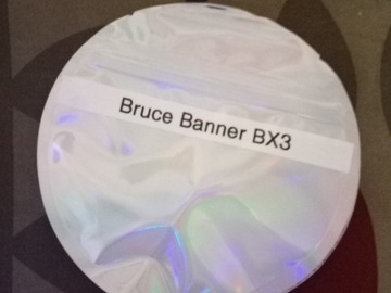 Vente: Lifted farms Bruce banner bx3