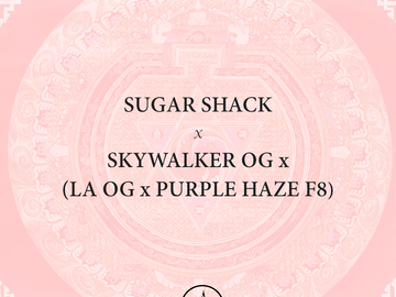 Venta: Sugar Shack x Pagoda Kush - Limited Release