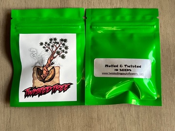 Venta: Twisted Tree - Mulled and Twisted (10 Fem Auto Seeds)