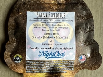 Sell: NightOwl Seeds - Saint Expeditus (3 Auto Fem Seeds)