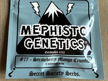 Venta: Mephisto - Strawberry Mango Crumble (5 Fem Auto Seeds)