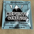 Sell: Mephisto - Strawberry Mango Crumble (5 Fem Auto Seeds)