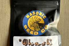 Sell: Masonic - Whash (Khash x Wilson)
