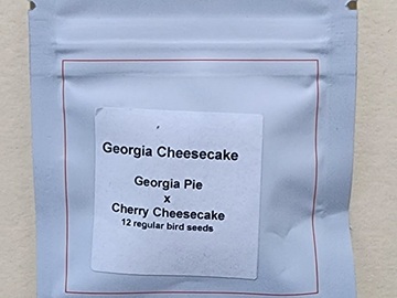 Vente: Lit Farms Georgia Cheesecake 12 pack regs