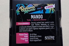 Venta: Mando by Solfire Genetics Bahama Mama x Yoda Og
