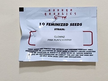 Vente: Clownz by Savage Genetics 10 Feminized Seeds