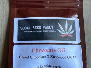 Vente: Socal Seed Vault - Chocolate OG Indoor Pheno