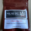 Sell: Socal Seed Vault - Chocolate OG Indoor Pheno