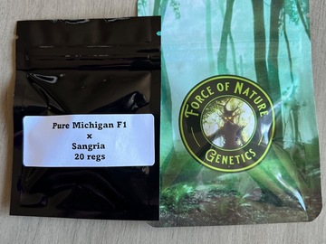 Sell: Force of Nature - Pure Michigan F1 x Sangria