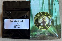 Sell: Force of Nature - Pure Michigan F1 x Sangria
