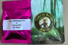 Sell: Force of Nature - Pure Michigan F1 x CherrioZ F1