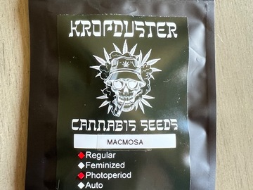 Vente: Kropduster - Macmosa (Mac x Mimosa)