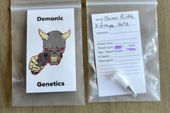 Sell: Demonic Genetics - Banana Pebbles x Grape Zotz