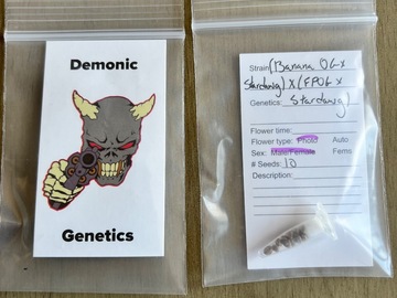 Vente: Demonic Genetics - Banana Pebbles Regs