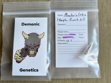 Sell: Demonic Genetics - Mandarin Cookies x Purple Punch 2.0