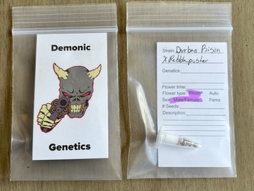Vente: Demonic Genetics - Durban Poison x Pebble Pusher