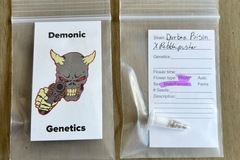 Vente: Demonic Genetics - Durban Poison x Pebble Pusher