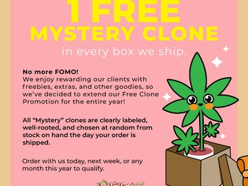Vente: OMFG (Exotic Genetix | +1 Free Mystery Clone)