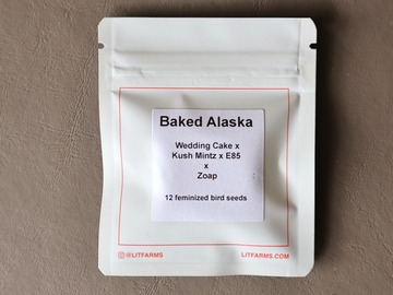 Venta: LIT Farms - Baked Alaska - 12 Fem Seeds