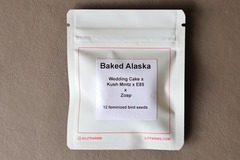 Sell: LIT Farms - Baked Alaska - 12 Fem Seeds