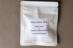 Vente: LIT Farms - Lemon Cherry Mintz - 10 Fems