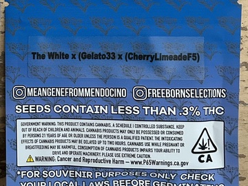 Vente: SALE Freeborn (The White x (Gelato 33 x (CherryLimeade F5)