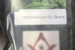 Vente: 1981 Heirloom FL Skunk 10 seeds per pack