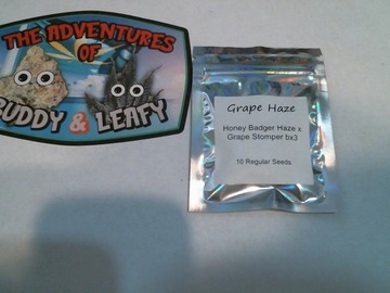 Sell: Legendary Genetics- Grape Haze