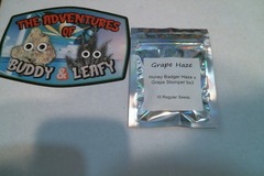 Sell: Legendary Genetics- Grape Haze