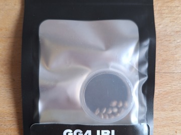 Vente: GG Strains - GG4 IBL Limited Edition