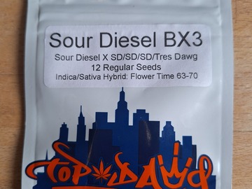 Vente: Top Dawg Seeds - Sour Diesel BX3